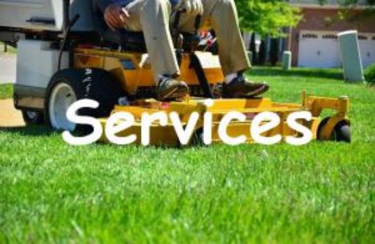 Services