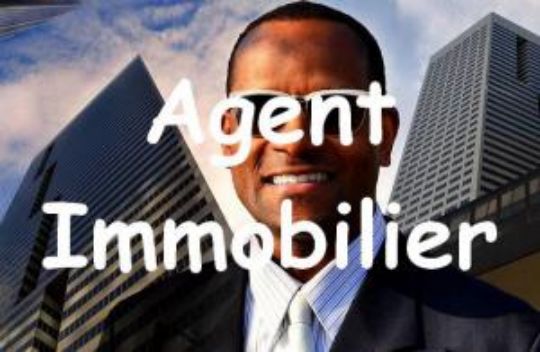 Agent immobilier